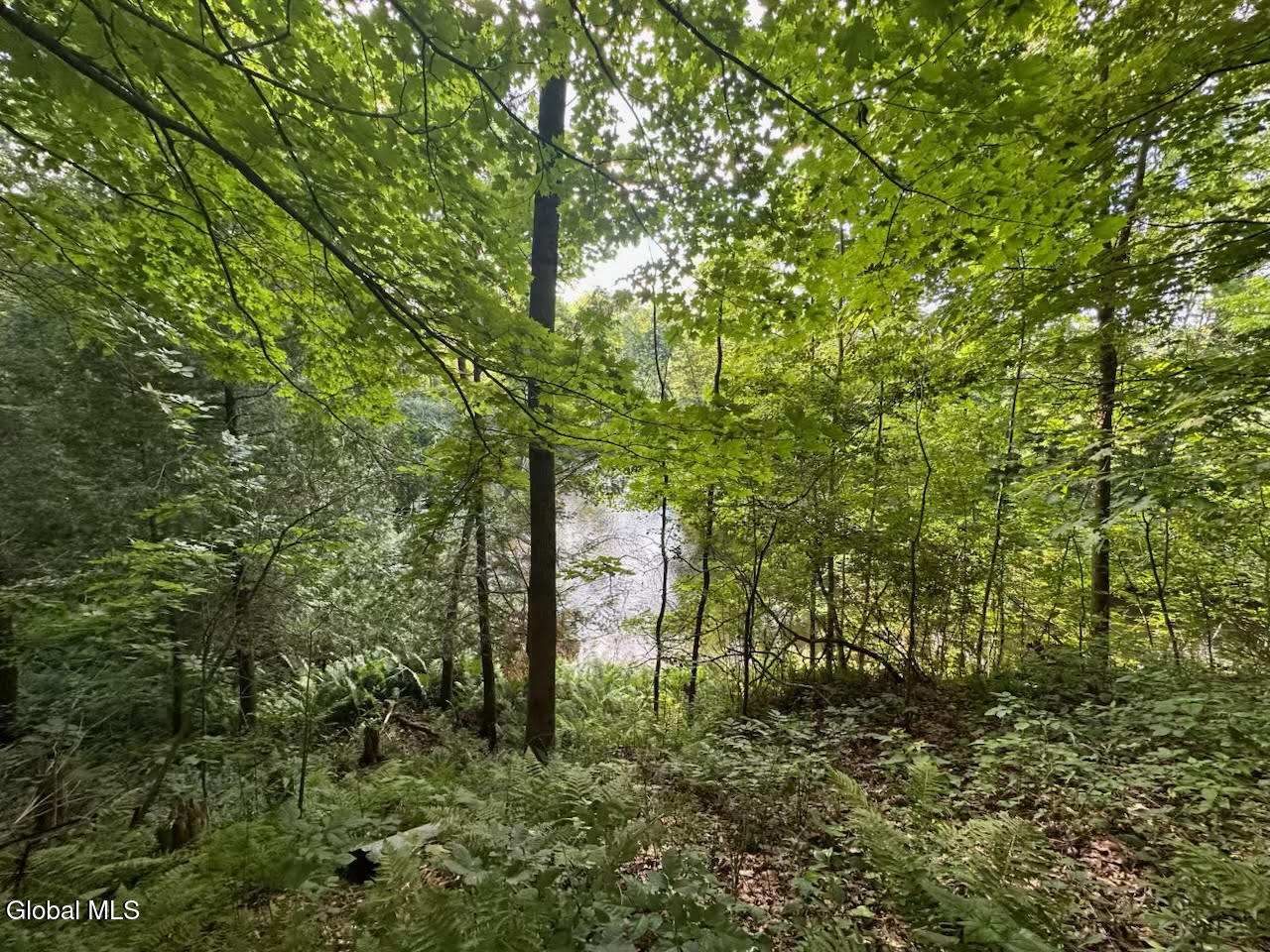 19 Porter Mill Road Crown Point NY 12928