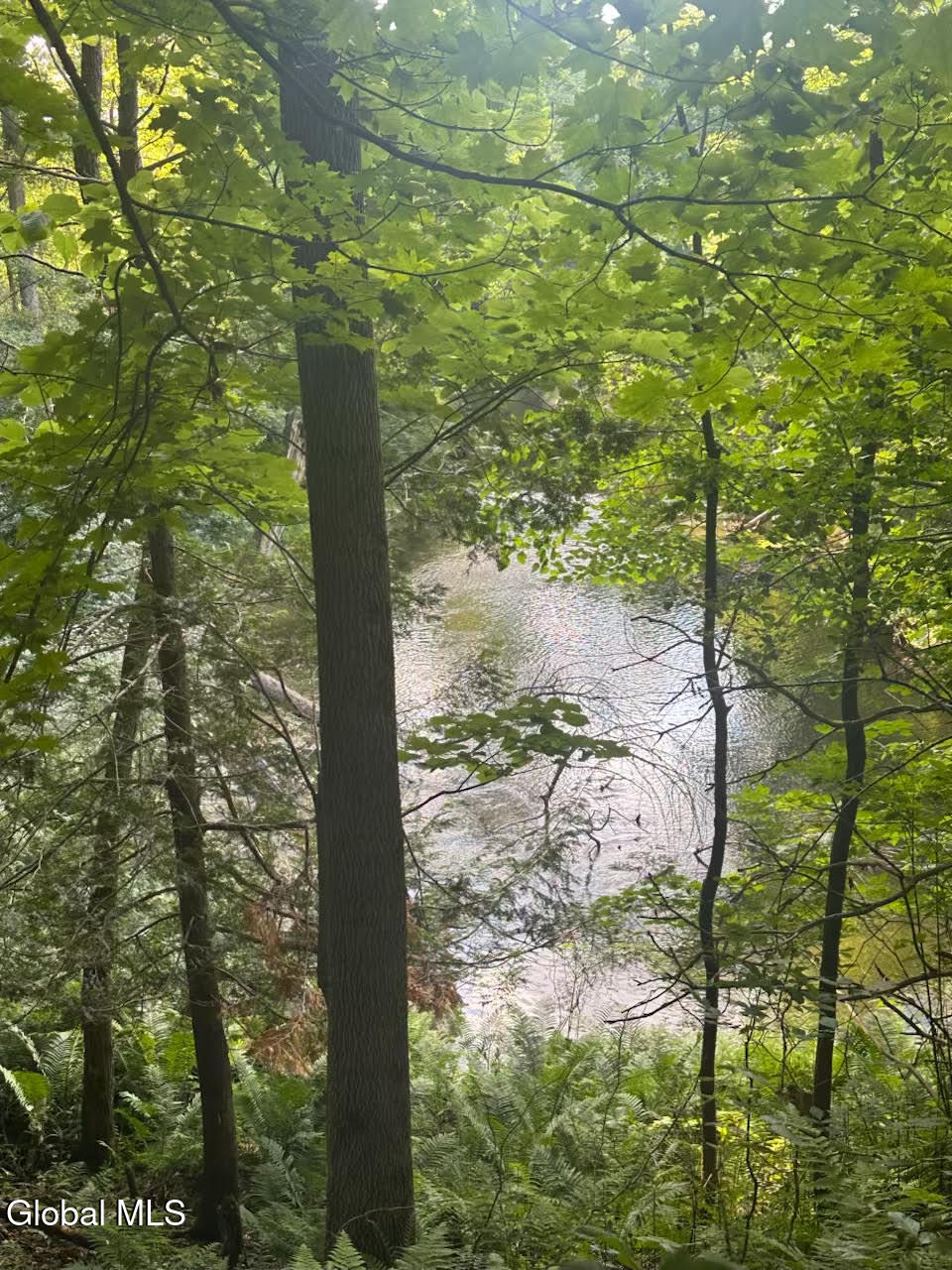 19 Porter Mill Road Crown Point NY 12928
