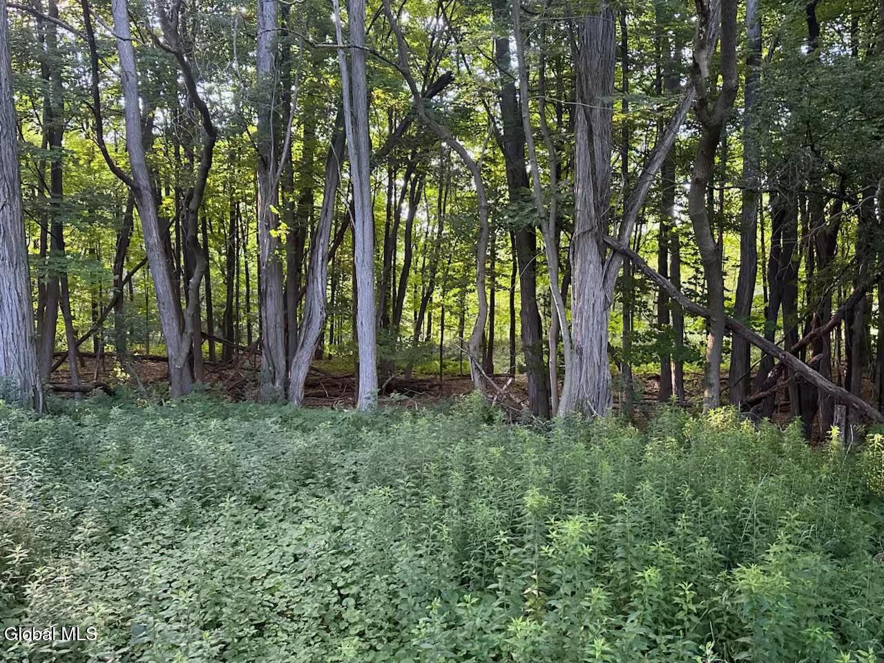 19 Porter Mill Road Crown Point NY 12928