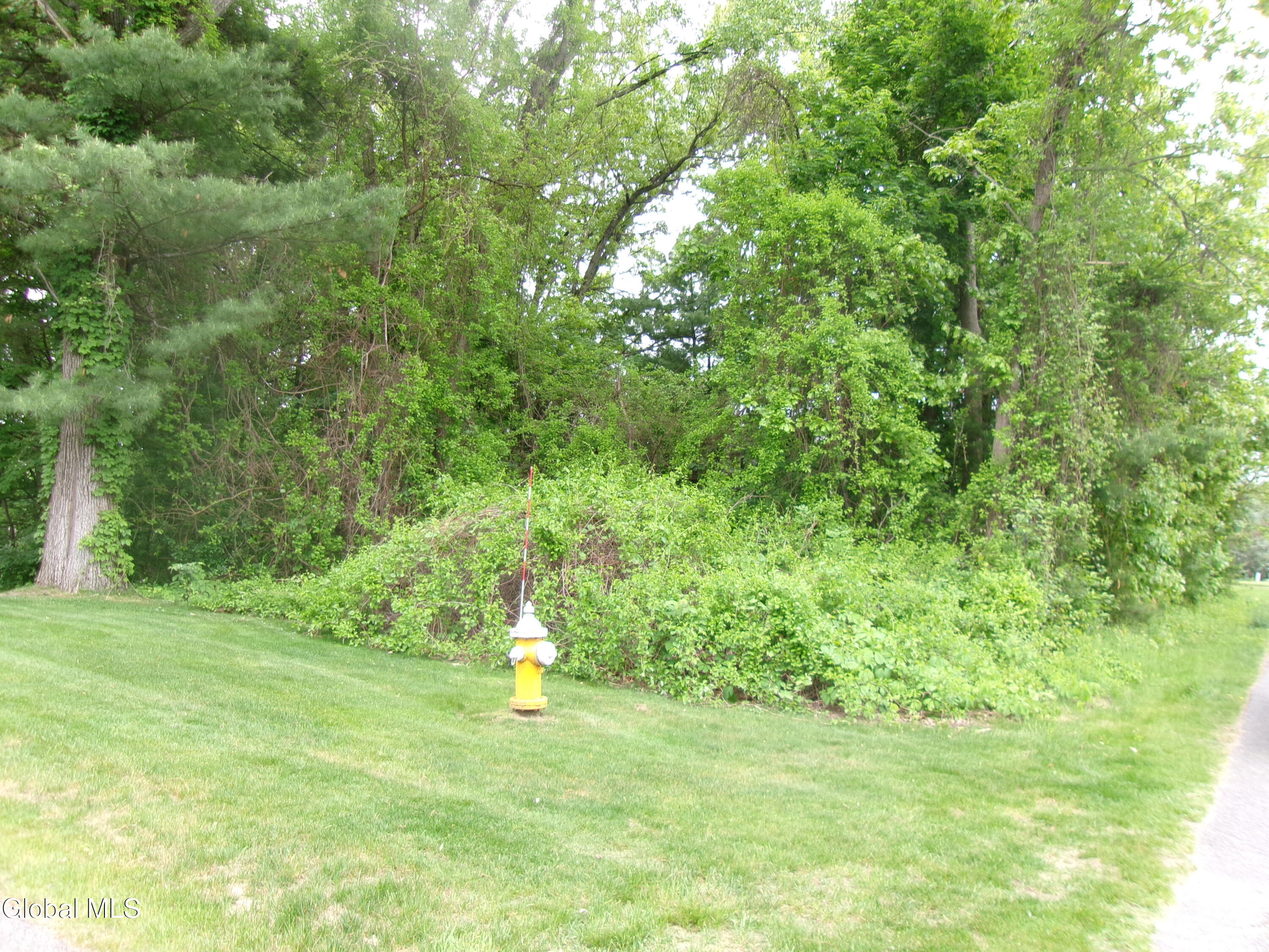 13 Pinecrest Drive Schenectady NY 12309