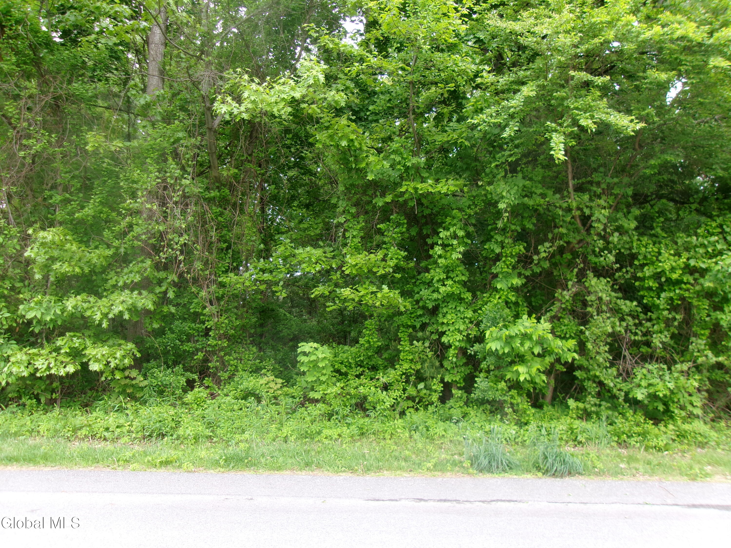 13 Pinecrest Drive Schenectady NY 12309