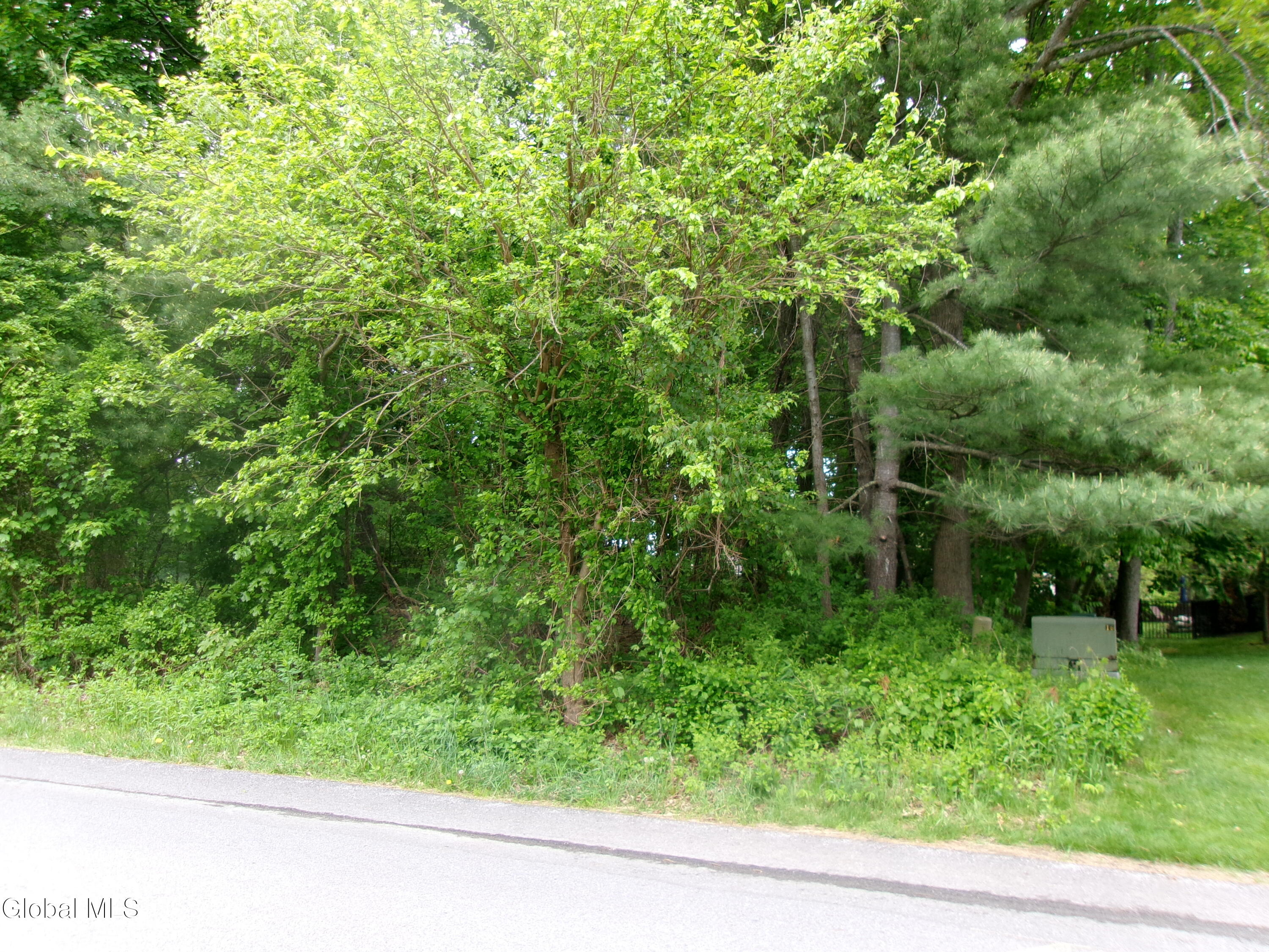 13 Pinecrest Drive Schenectady NY 12309