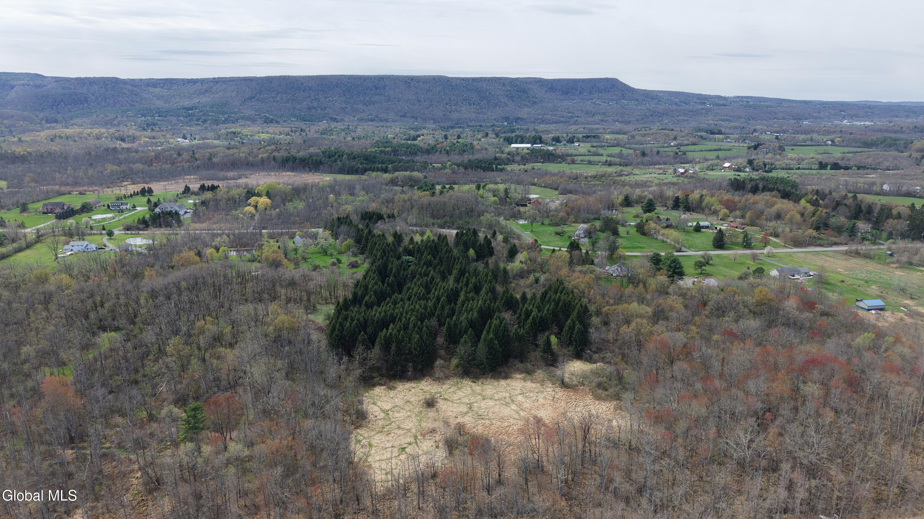 850 Meadowdale Road Altamont NY 12009