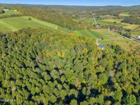 L1.3 N Harpersfield Road Jefferson NY 12093