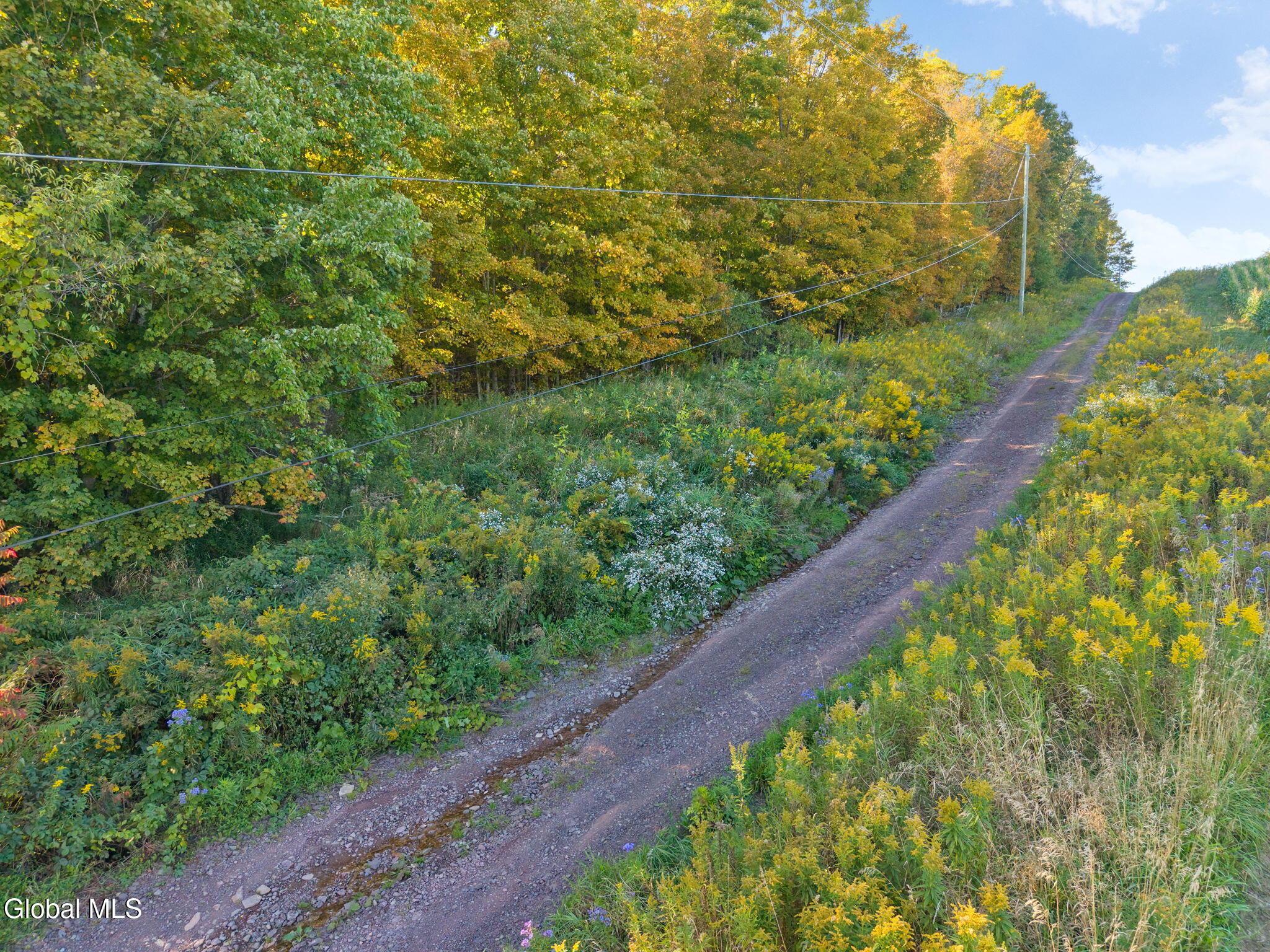 L1.3 N Harpersfield Road Jefferson NY 12093