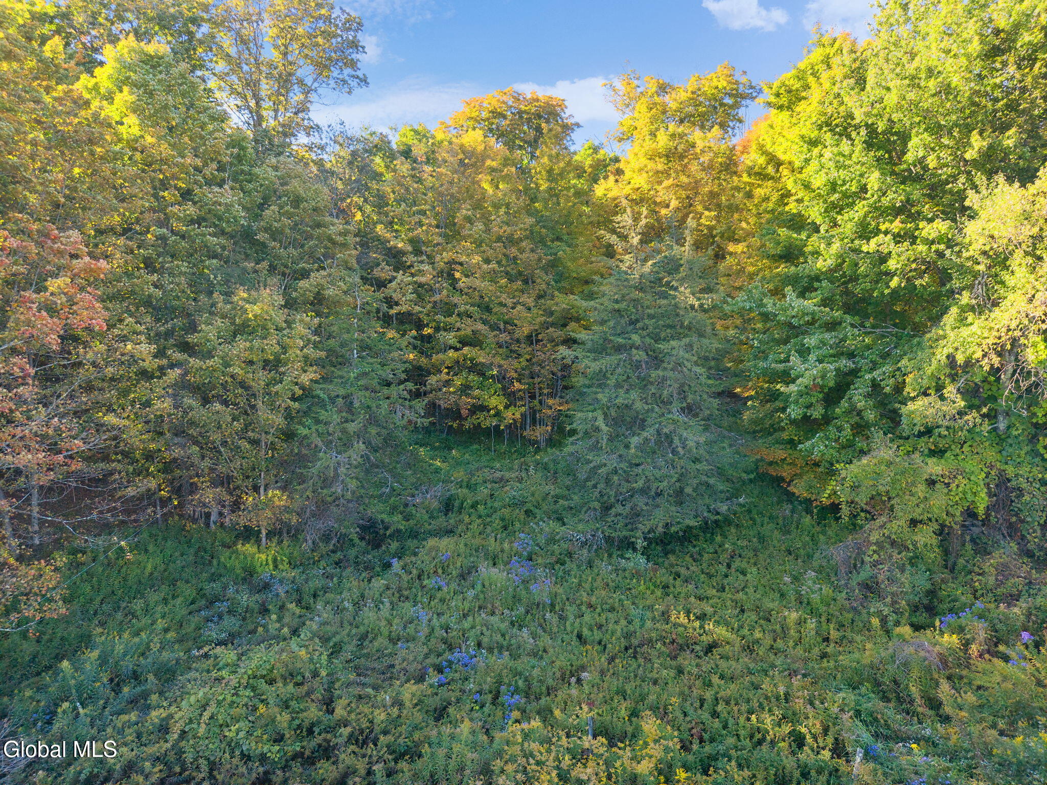L1.3 N Harpersfield Road Jefferson NY 12093