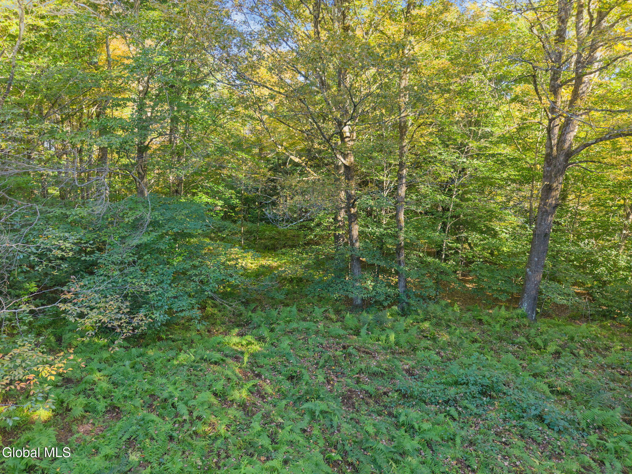 L1.3 N Harpersfield Road Jefferson NY 12093