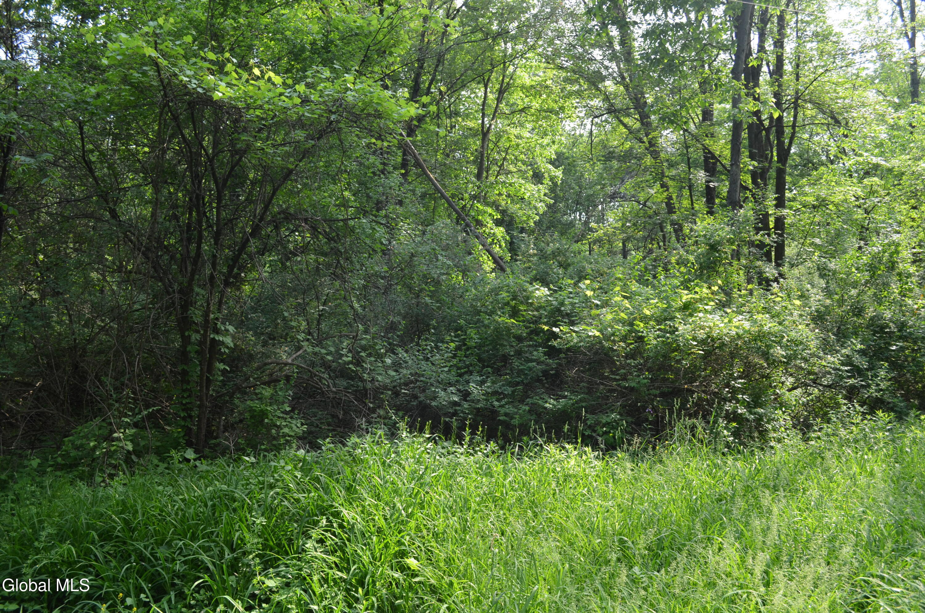 9 Cedar Road Selkirk NY 12158