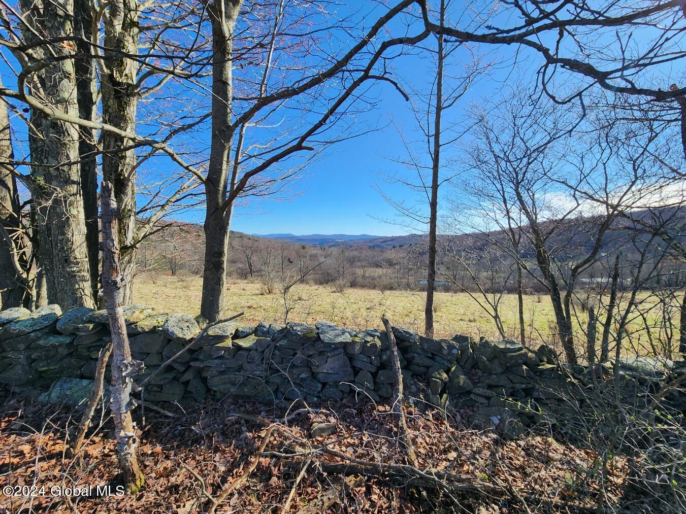 L2 Lang Road Summit NY 12175