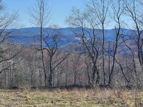 L2 Lang Road Summit NY 12175