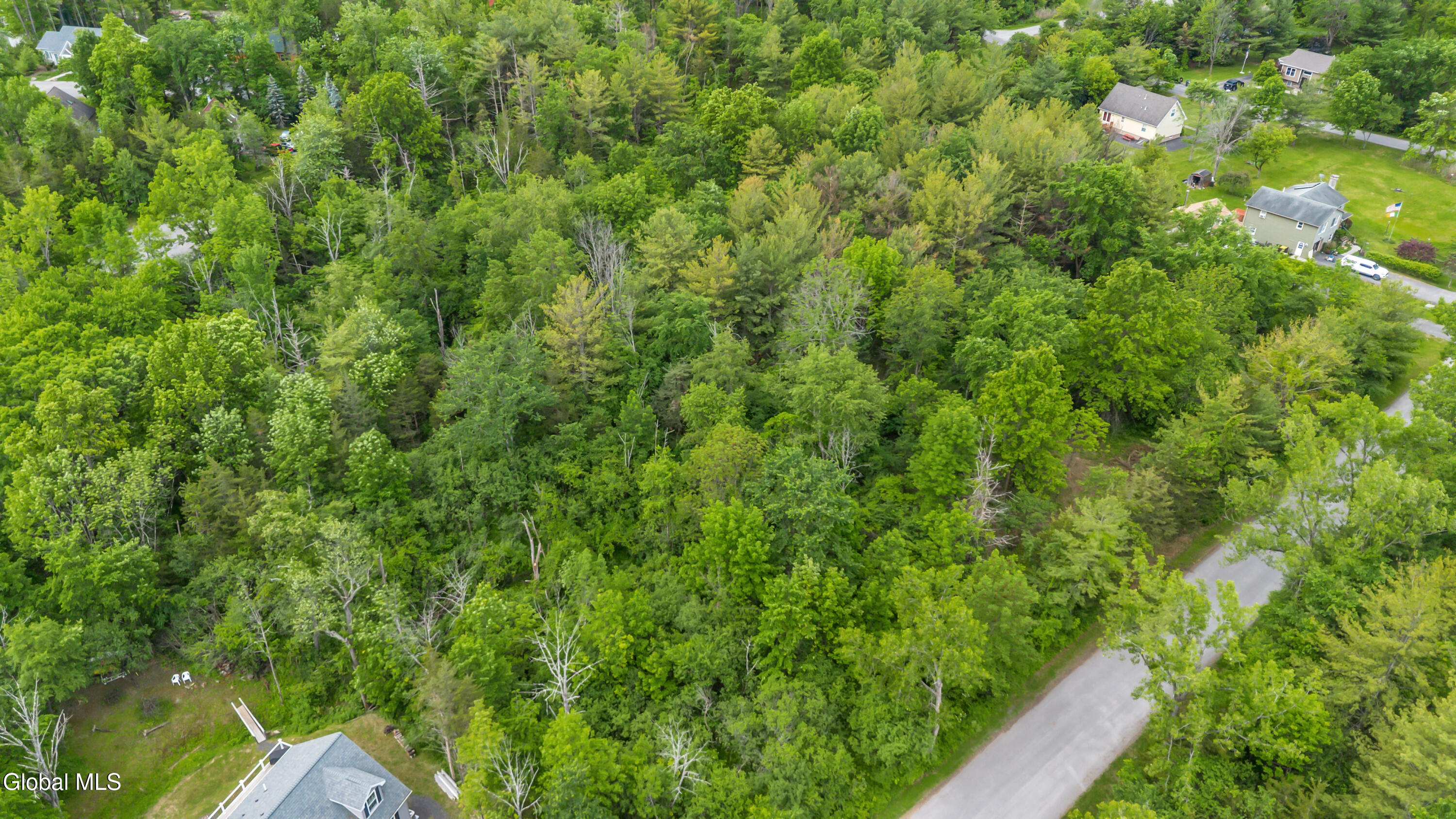 21 Rip Van Winkle Drive Athens NY 12015