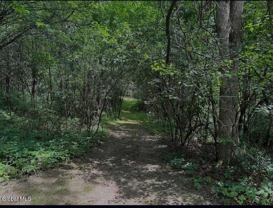 21 Rip Van Winkle Drive Athens NY 12015