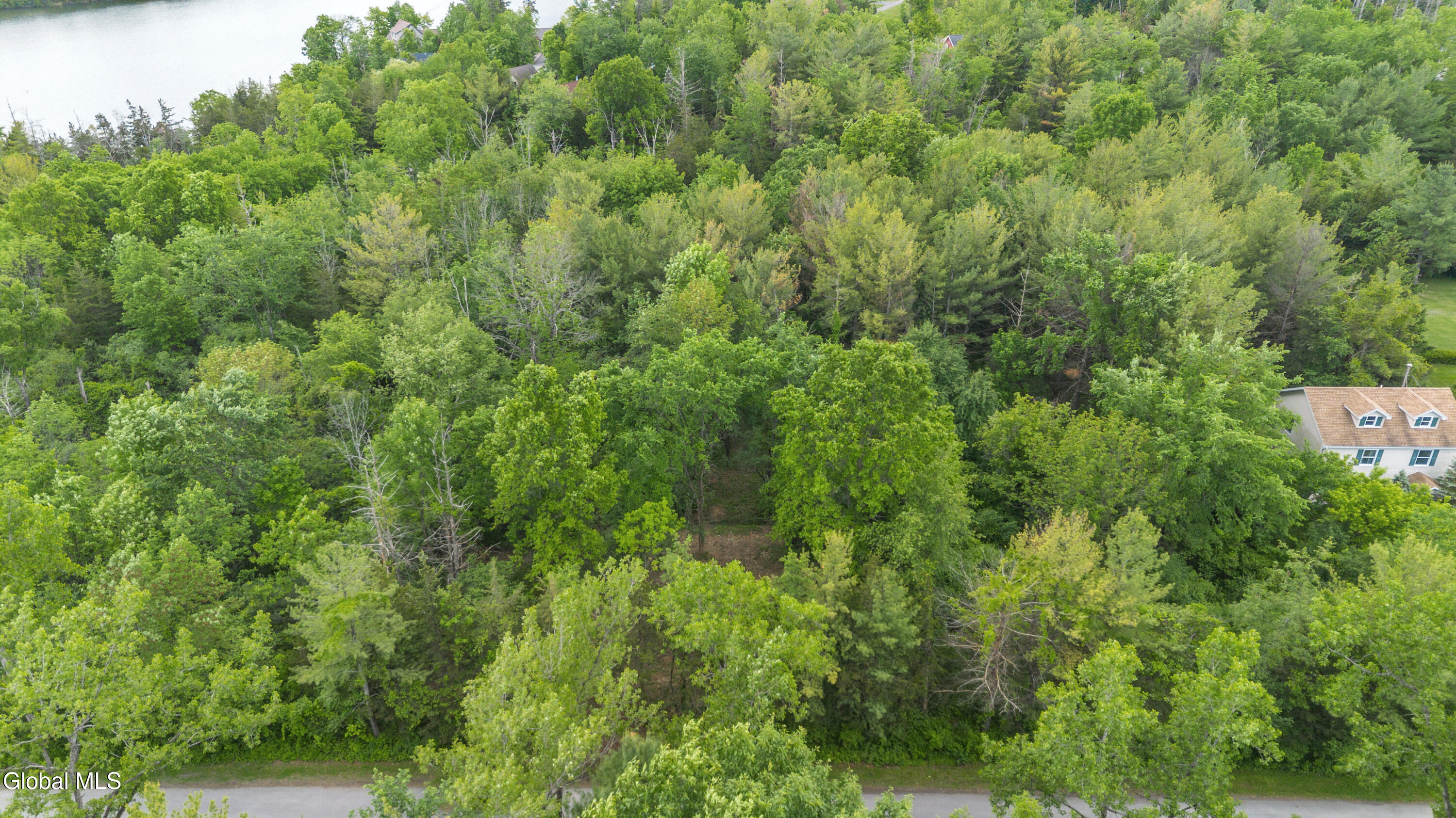 21 Rip Van Winkle Drive Athens NY 12015