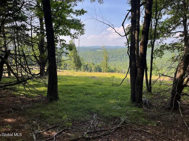 L49 Laura Lane Broome NY 12122