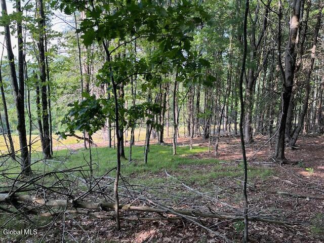 L49 Laura Lane Broome NY 12122