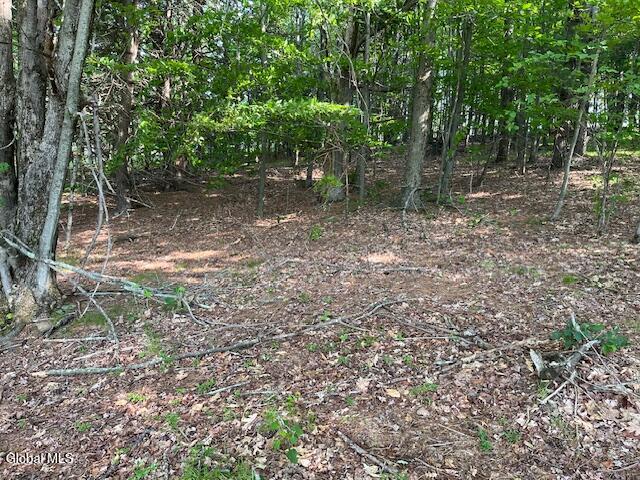 L49 Laura Lane Broome NY 12122