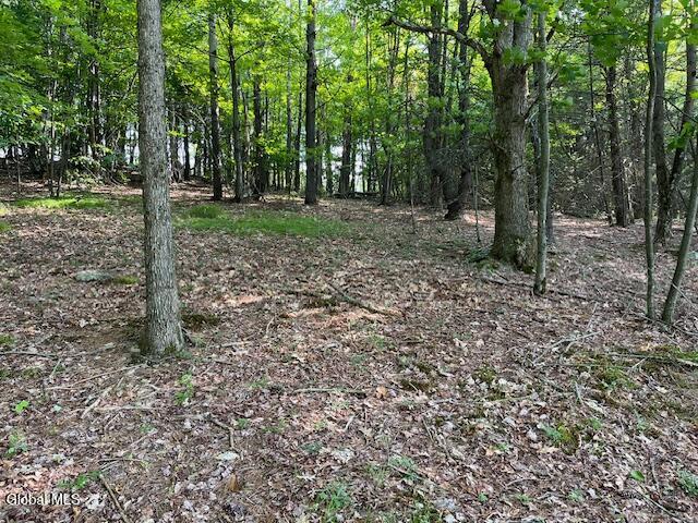 L49 Laura Lane Broome NY 12122