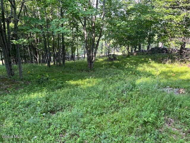L49 Laura Lane Broome NY 12122