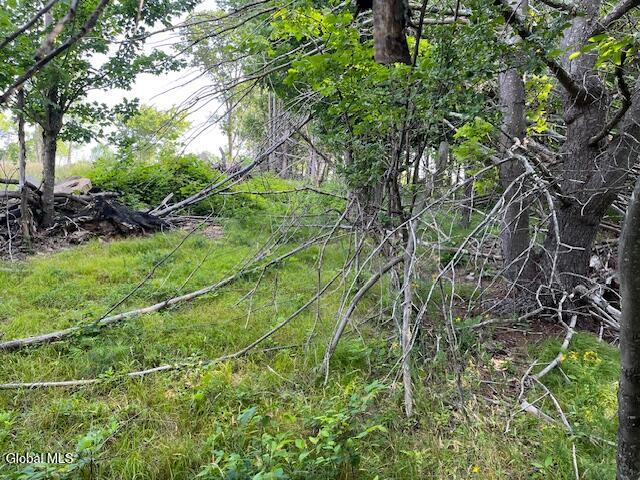L49 Laura Lane Broome NY 12122
