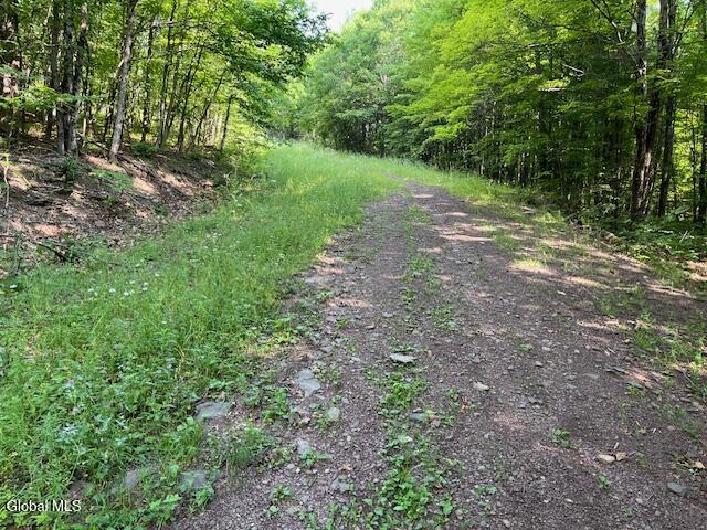 L49 Laura Lane Broome NY 12122