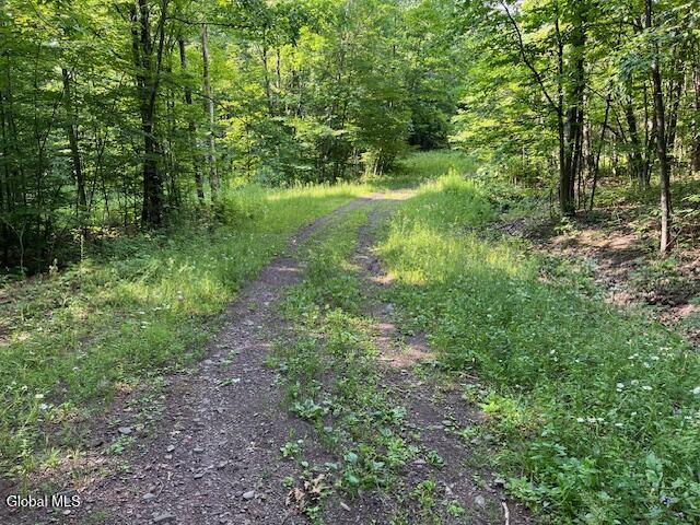 L49 Laura Lane Broome NY 12122