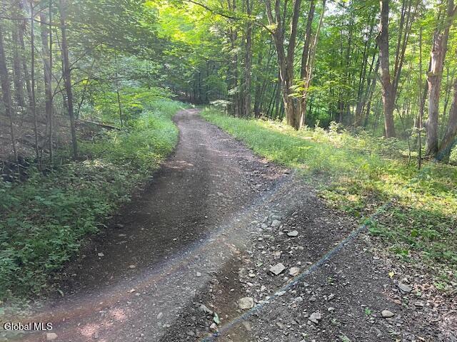 L49 Laura Lane Broome NY 12122
