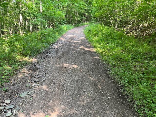 L49 Laura Lane Broome NY 12122