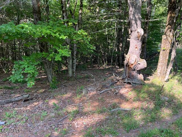 L49 Laura Lane Broome NY 12122
