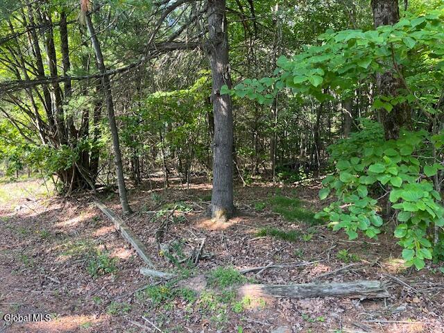 L49 Laura Lane Broome NY 12122