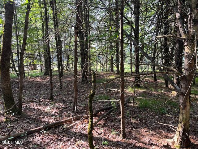 L49 Laura Lane Broome NY 12122