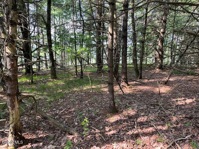 L49 Laura Lane Broome NY 12122