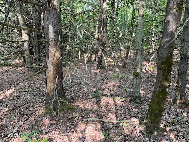 L49 Laura Lane Broome NY 12122