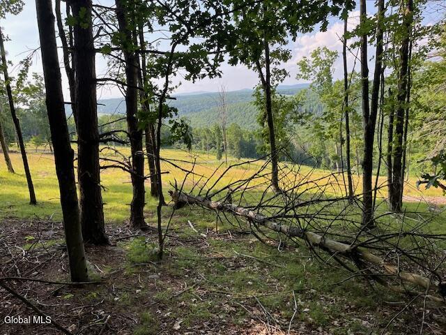 L49 Laura Lane Broome NY 12122