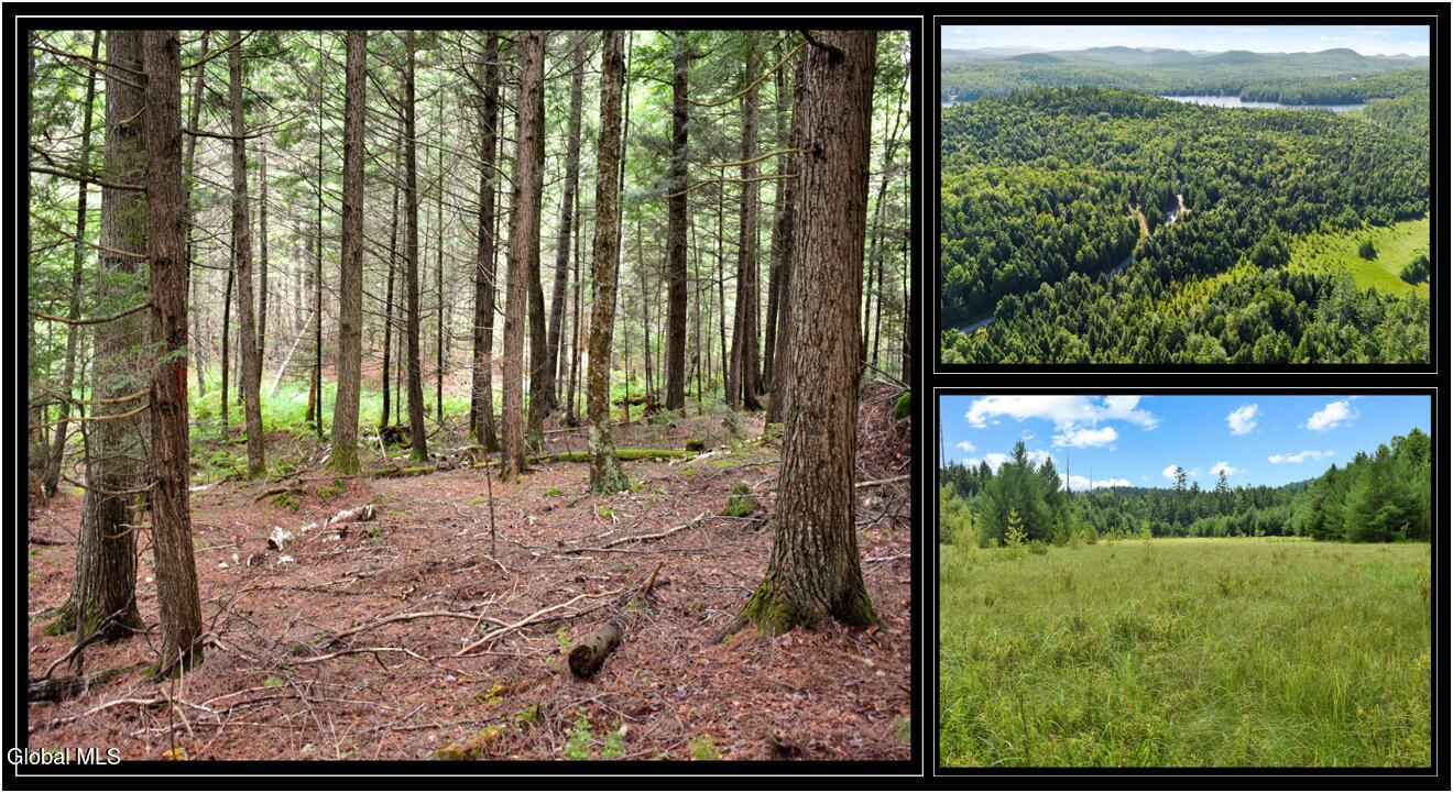 3-4 Adirondack Heights Road Chestertown NY 12817