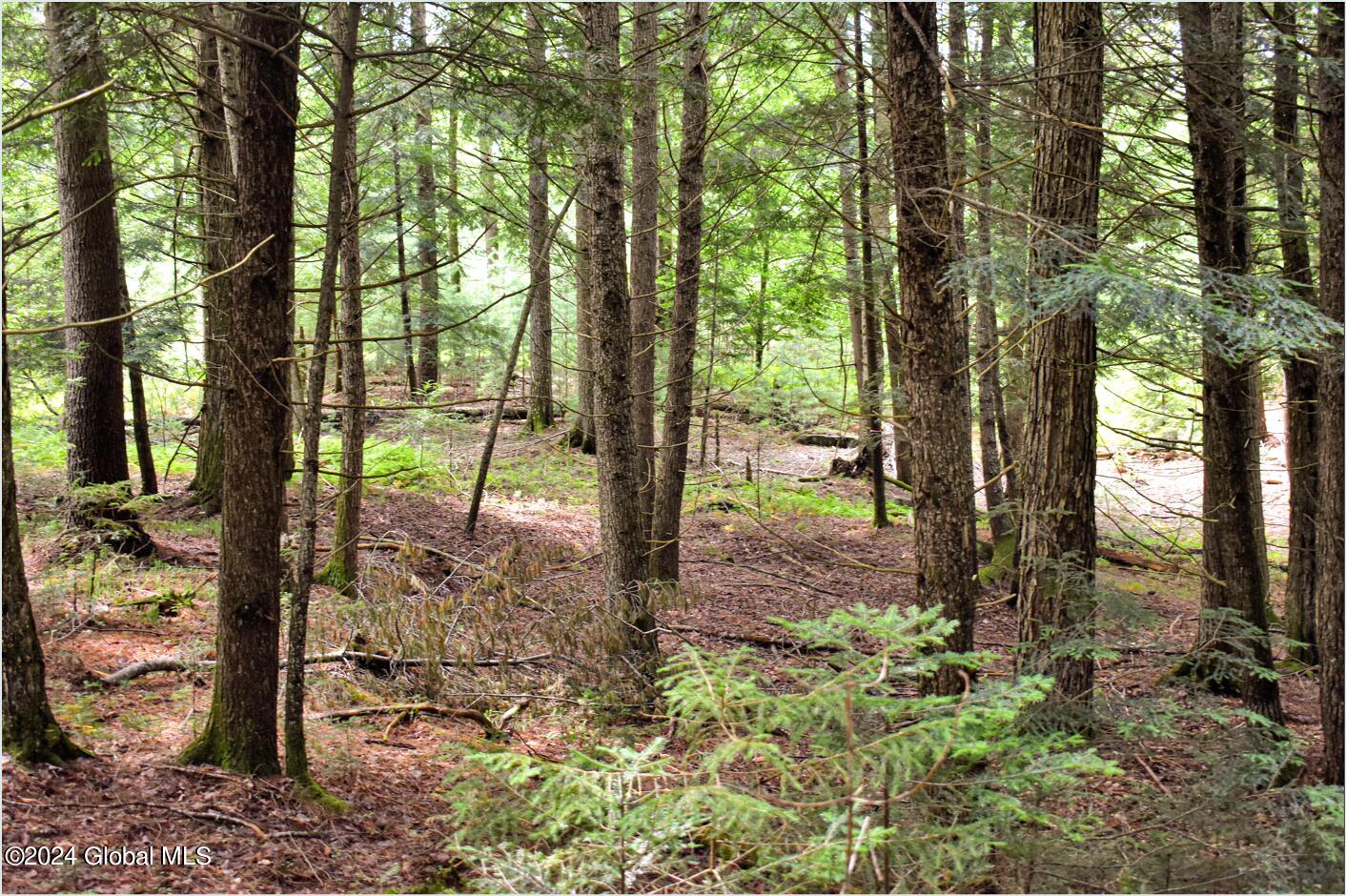 3-4 Adirondack Heights Road Chestertown NY 12817