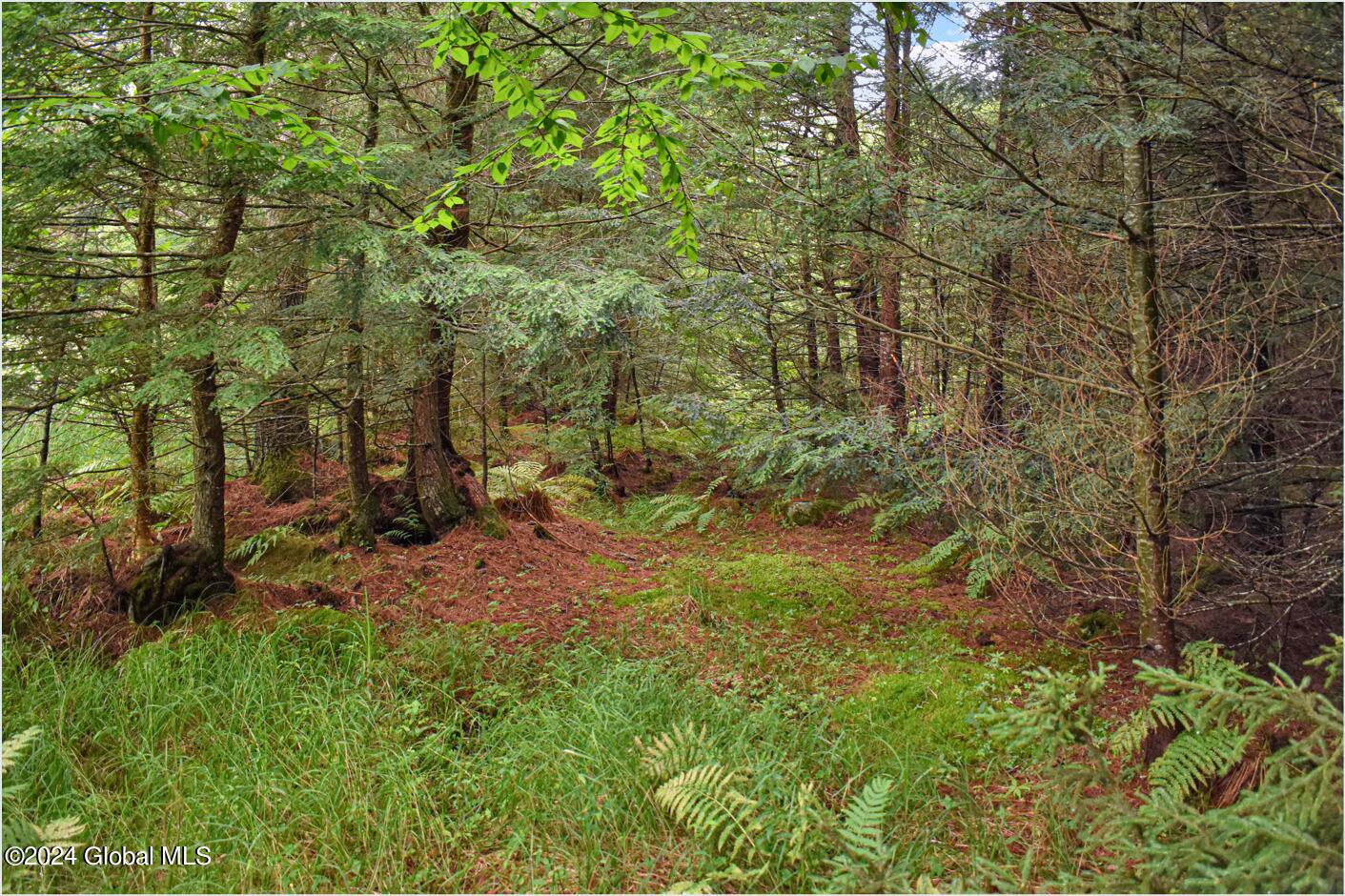 3-4 Adirondack Heights Road Chestertown NY 12817