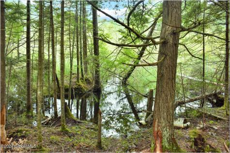3-4 Adirondack Heights Road Chestertown NY 12817