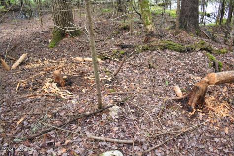 3-4 Adirondack Heights Road Chestertown NY 12817
