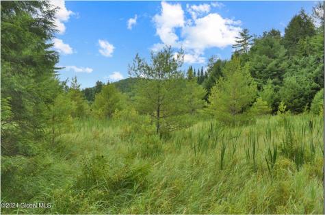 3-4 Adirondack Heights Road Chestertown NY 12817