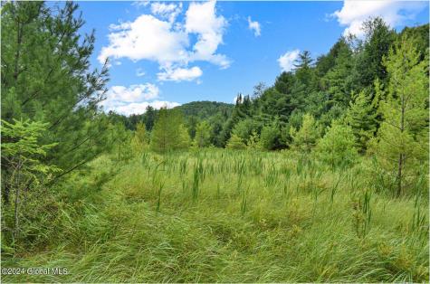 3-4 Adirondack Heights Road Chestertown NY 12817