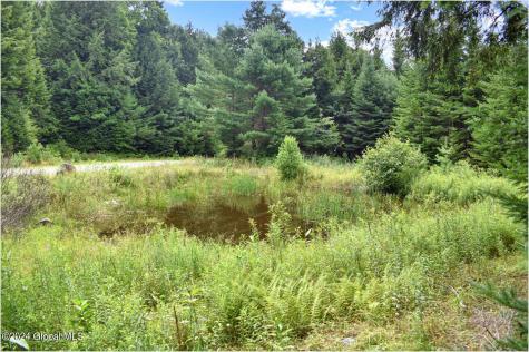 3-4 Adirondack Heights Road Chestertown NY 12817