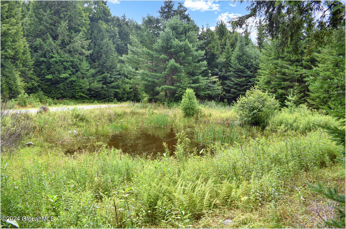 3-4 Adirondack Heights Road Chestertown NY 12817