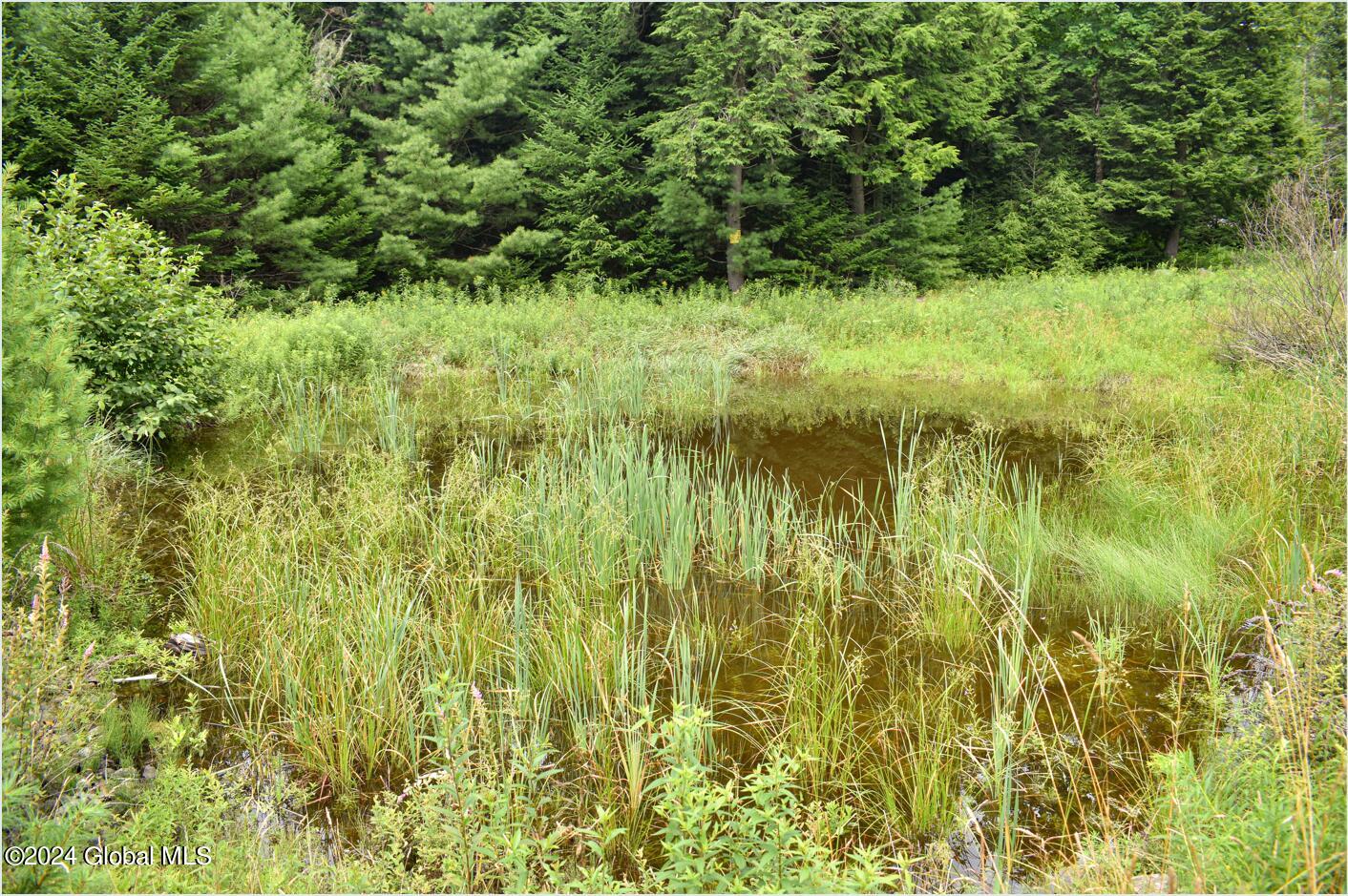 3-4 Adirondack Heights Road Chestertown NY 12817