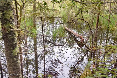 3-4 Adirondack Heights Road Chestertown NY 12817