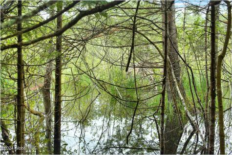 3-4 Adirondack Heights Road Chestertown NY 12817