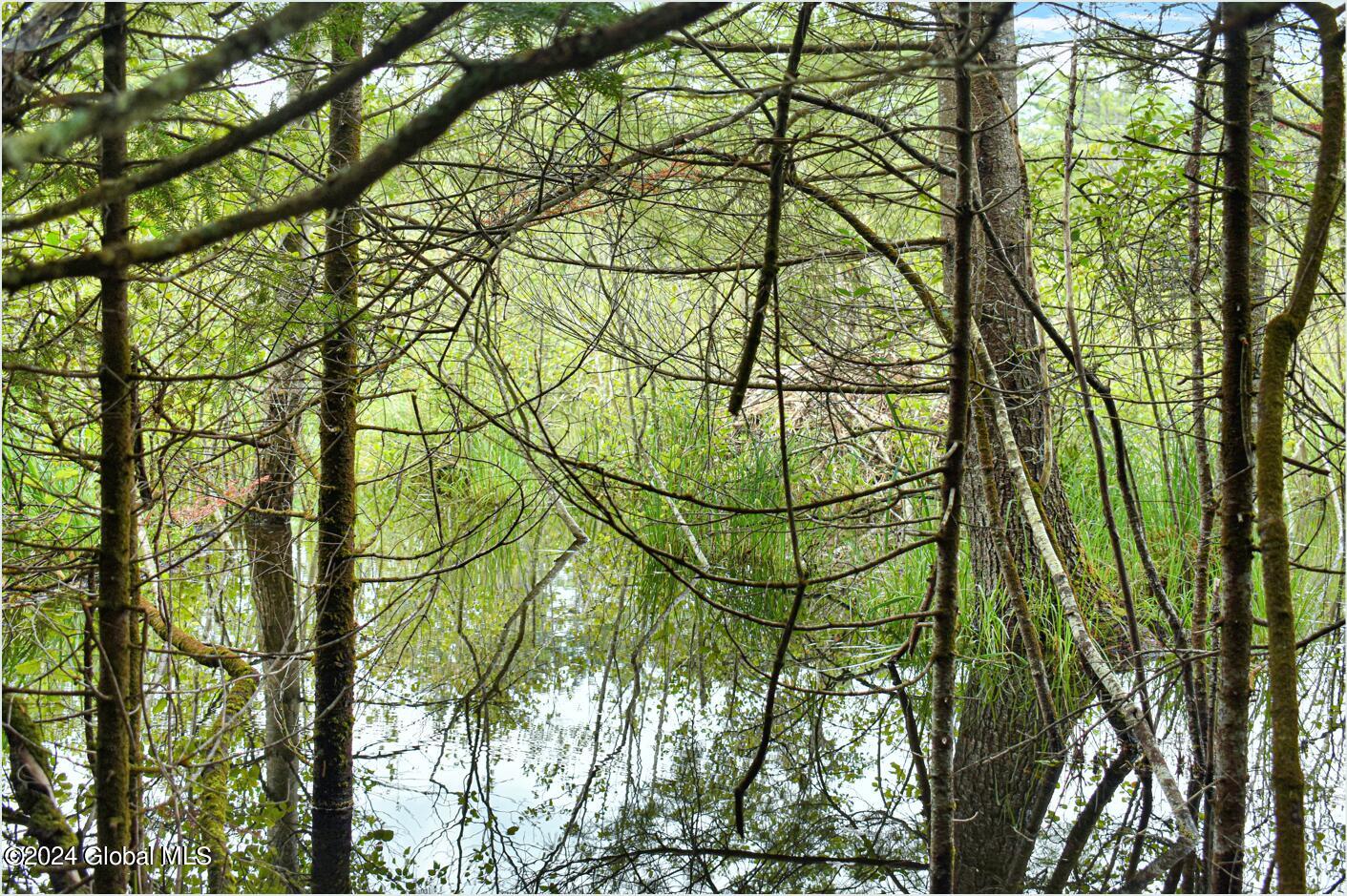 3-4 Adirondack Heights Road Chestertown NY 12817