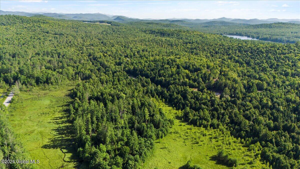 3-4 Adirondack Heights Road Chestertown NY 12817