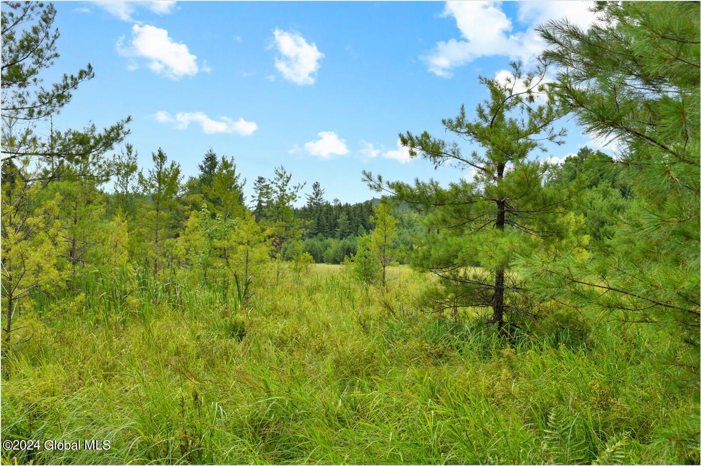 3-4 Adirondack Heights Road Chestertown NY 12817