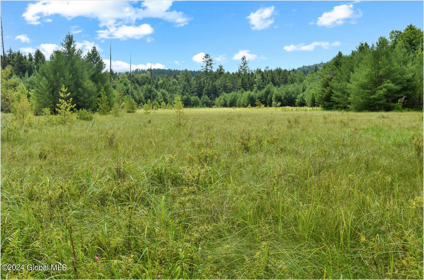 3-4 Adirondack Heights Road Chestertown NY 12817