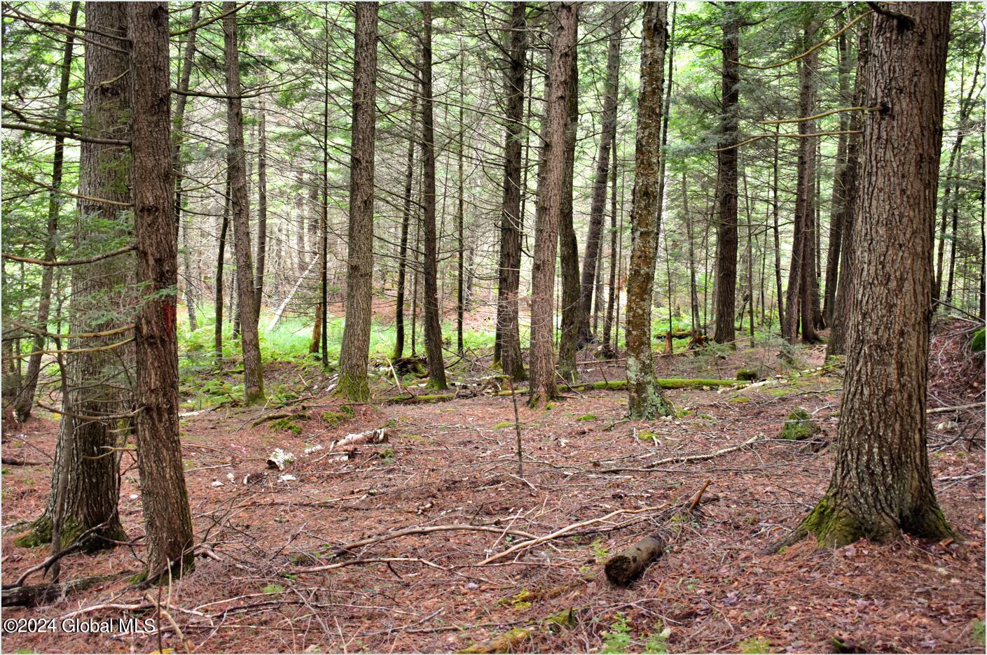 3-4 Adirondack Heights Road Chestertown NY 12817